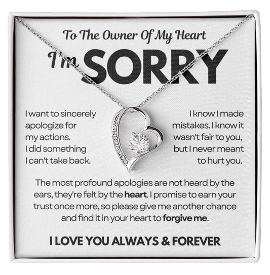 To the Owner of My Heart - Love Heart Necklace - I Am Sorry Message Card Gift