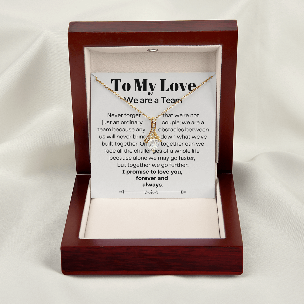 To My Love - Ribbon Necklace - We Are A Team Message Card Gift