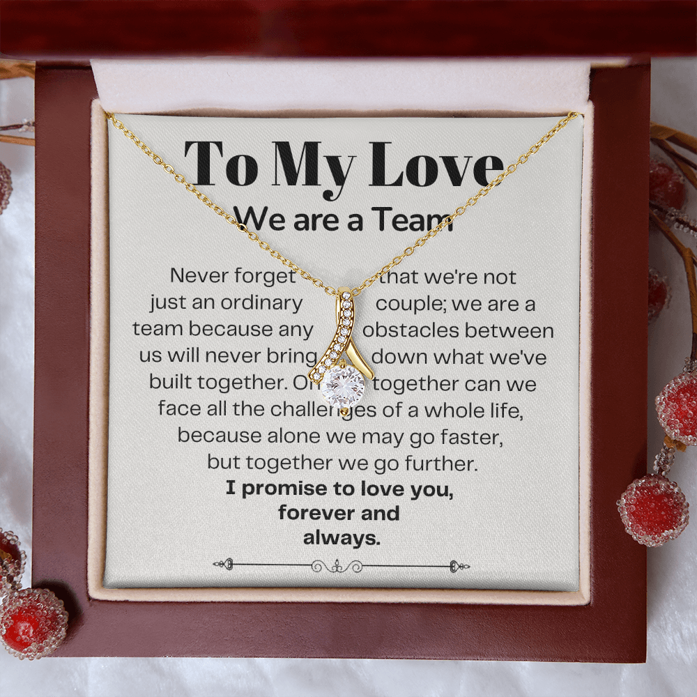 To My Love - Ribbon Necklace - We Are A Team Message Card Gift